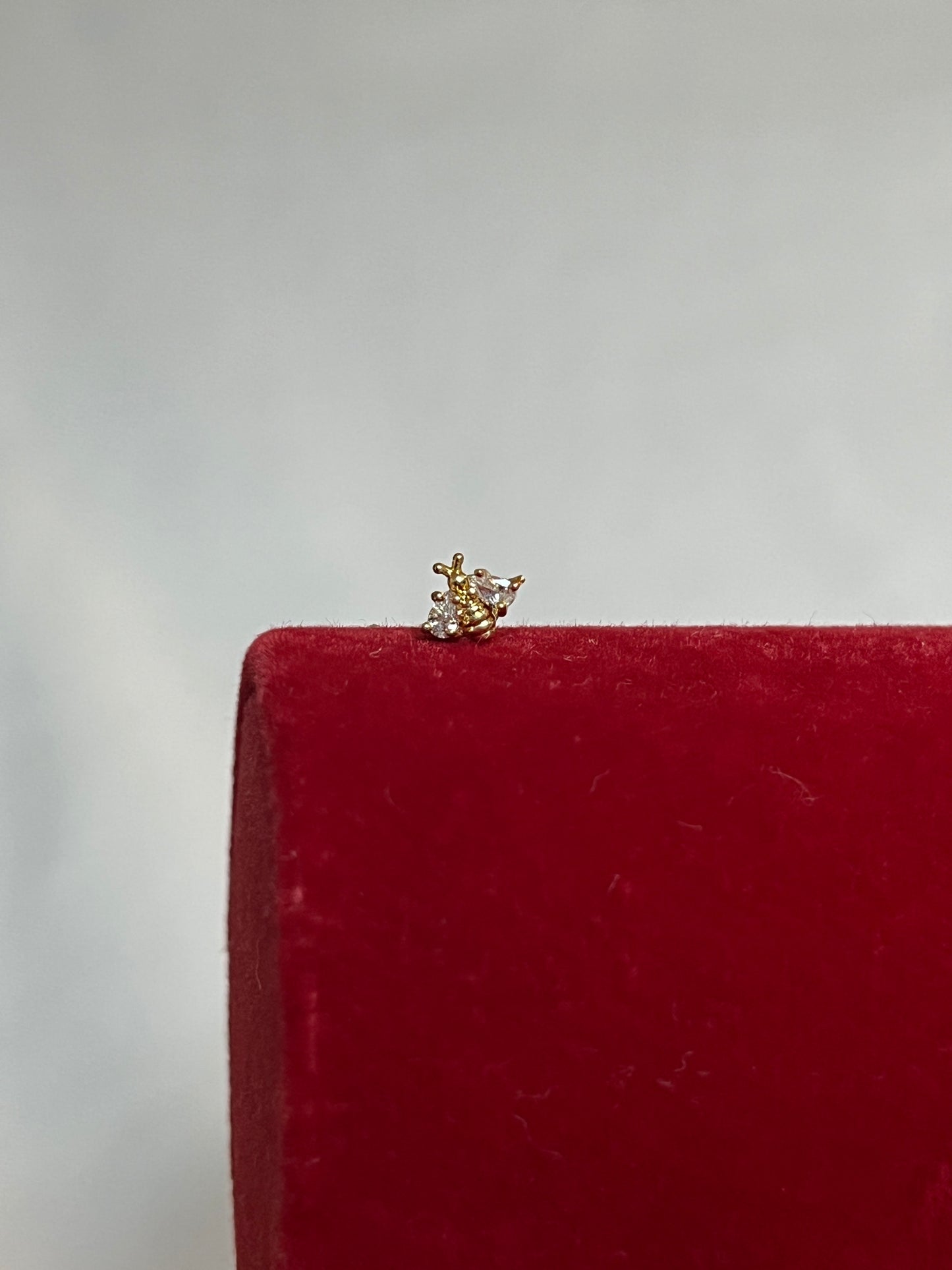 Bee Piercing
