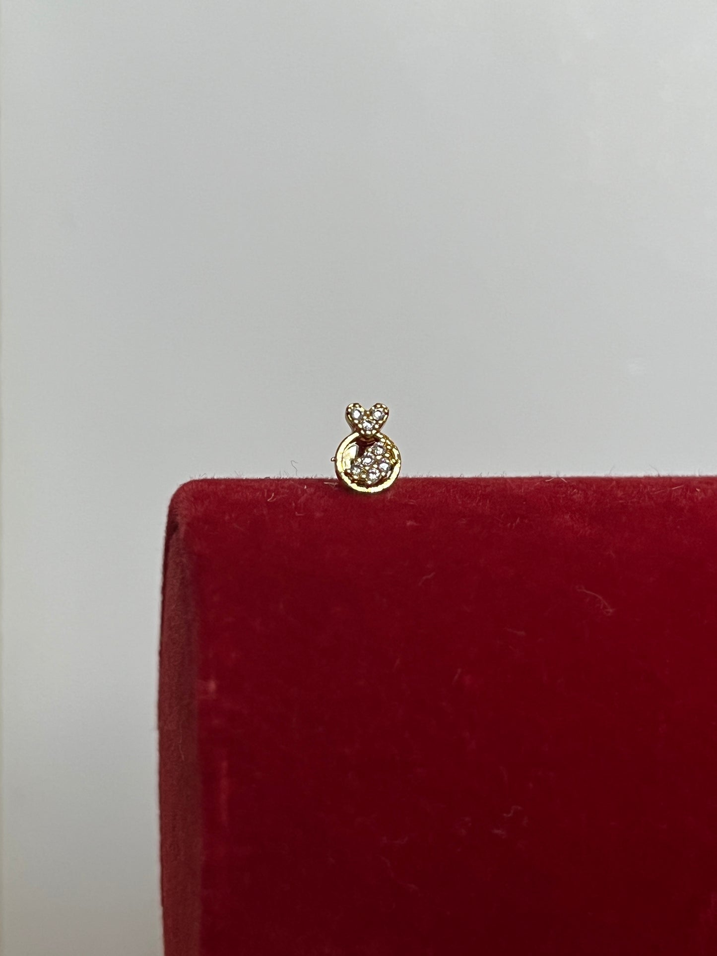 Ring Piercing