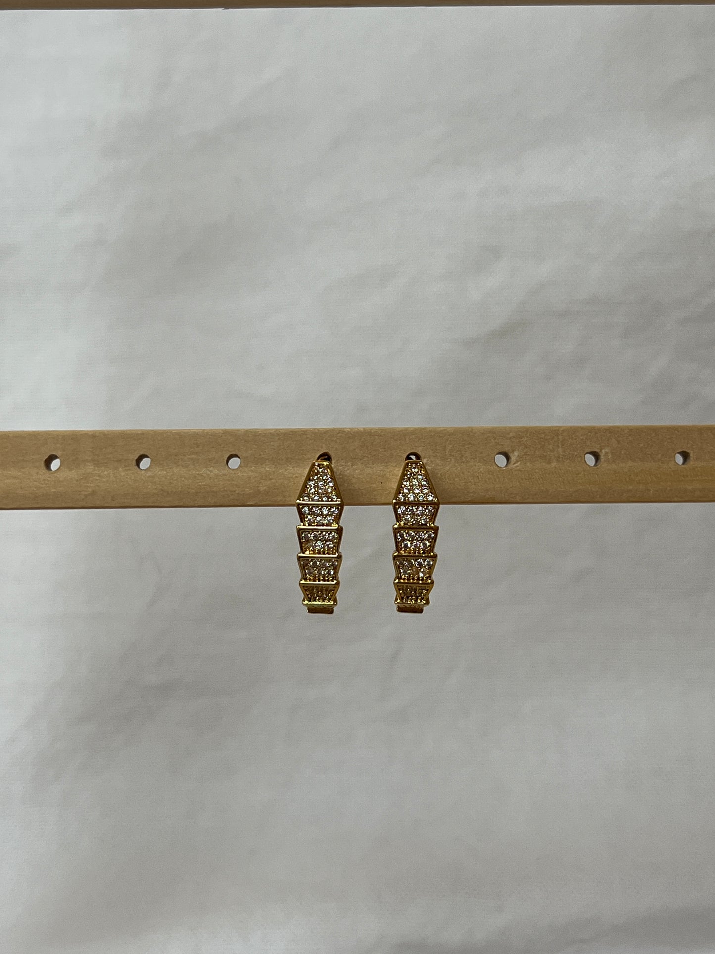 Snake With Spark Earring