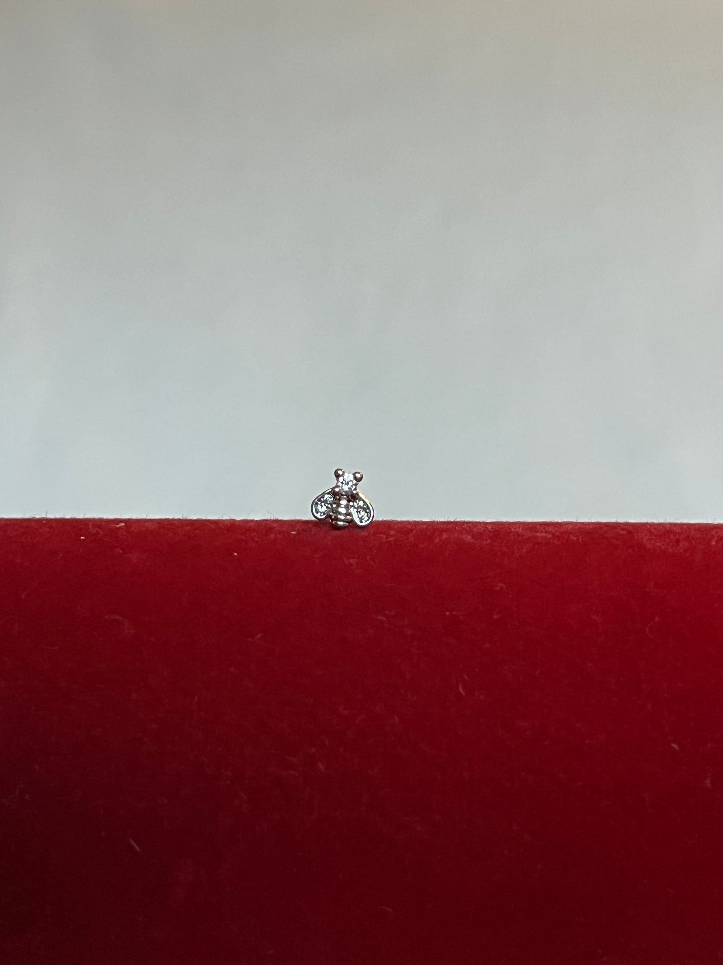 Silver Bee Piercing
