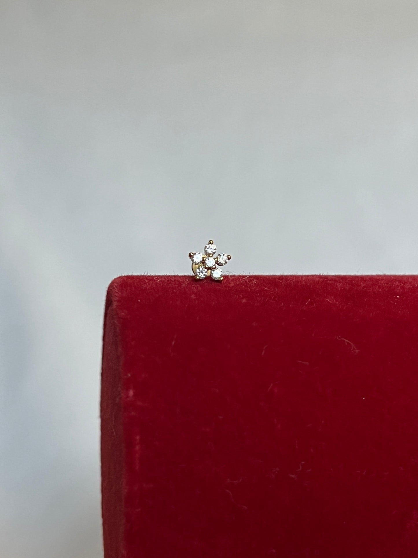 Daisy Piercing