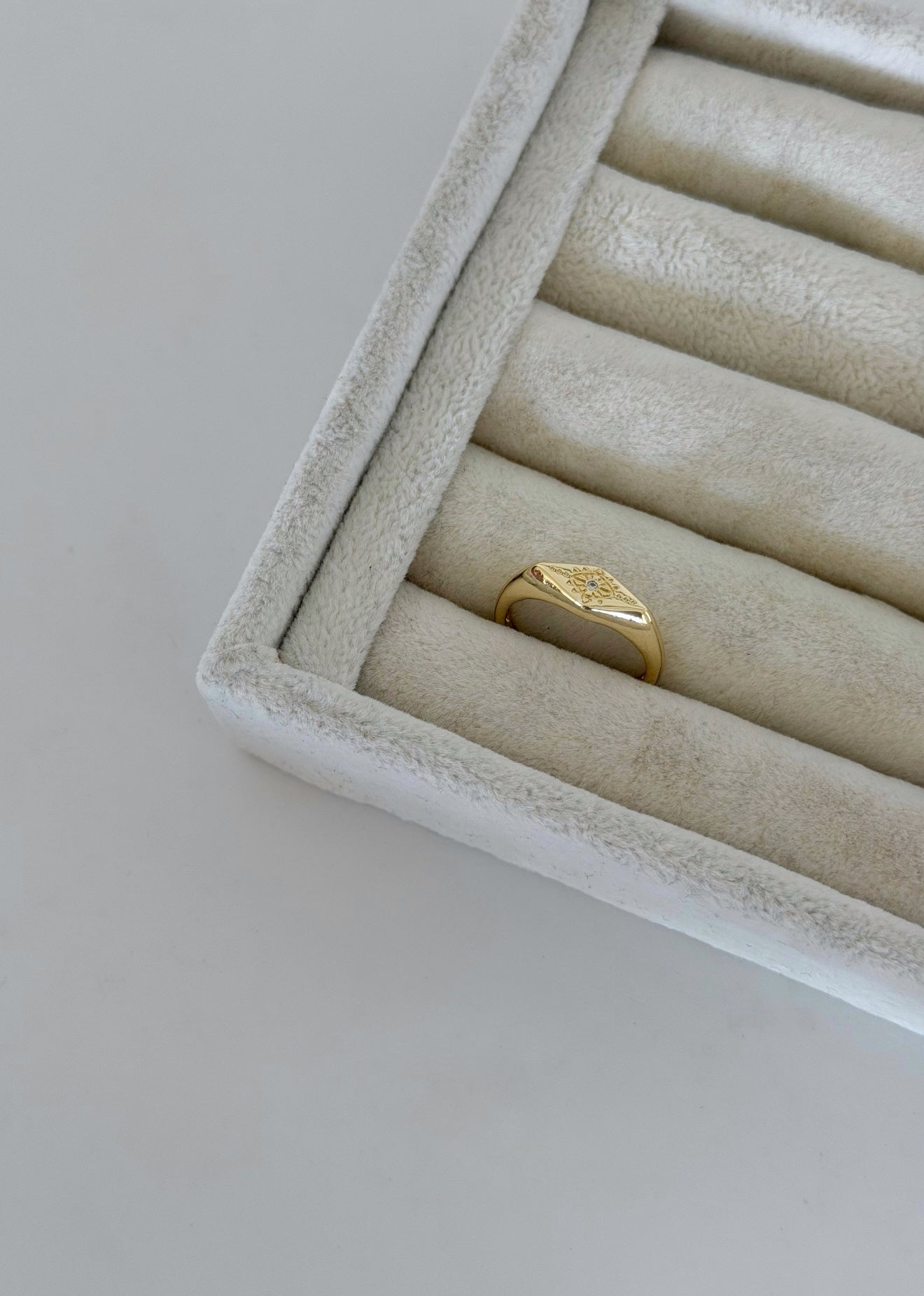 Minimal Seal Ring