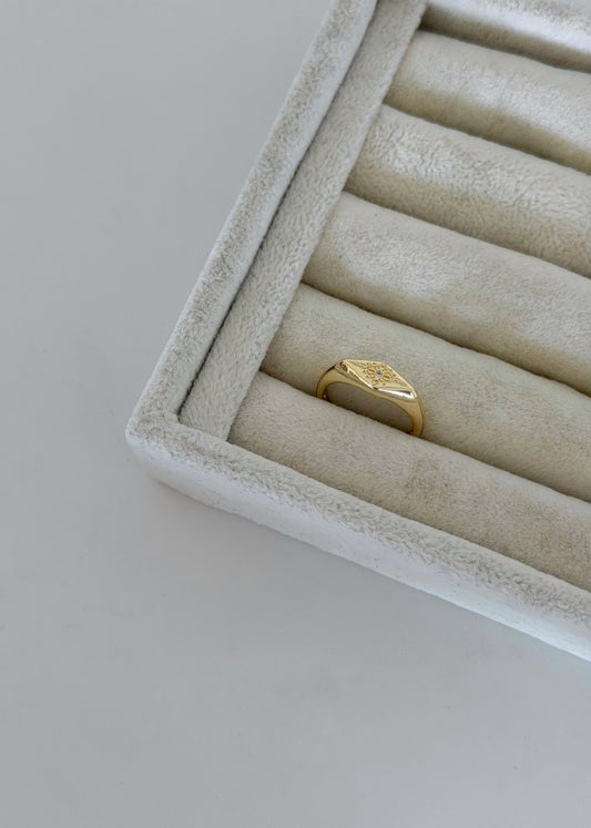 Minimal Seal Ring