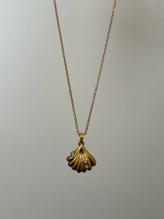 Golden Shell Necklace